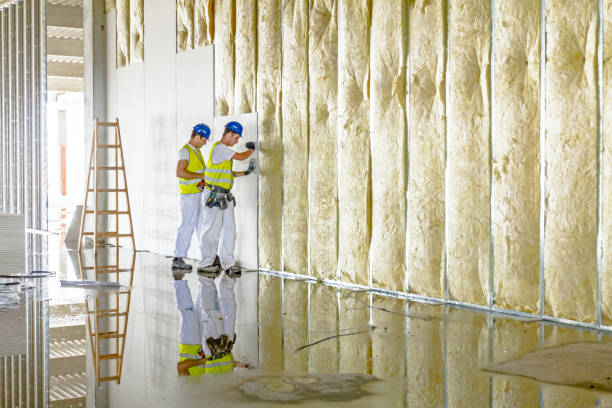 Best Specialty Insulation in Innotion, VA